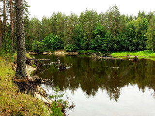 Meshchera, national Park Meshchersky. There are many fallen trees in the riverbed of Pra river. Ryazan region.