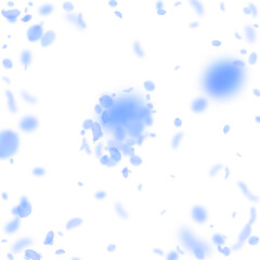 Dark blue flower petals falling down. Terrific rom