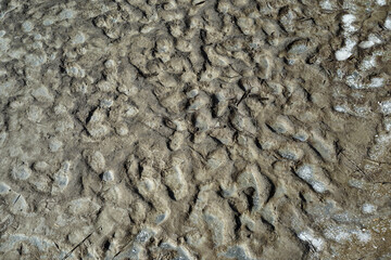 Backgrounds Textures Stripes on the clay