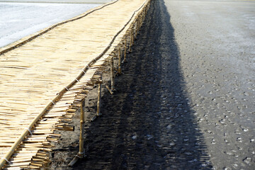 Textures Reflection Light from Wooden bridge