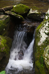 Cascading stream in nature