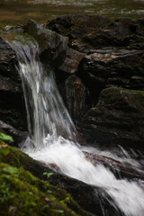 Fototapeta premium Cascading stream in nature