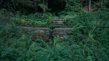 Entlang der K&ouml;deltalsperre in Bayern