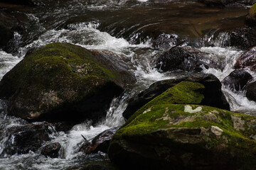 Cascading stream in nature