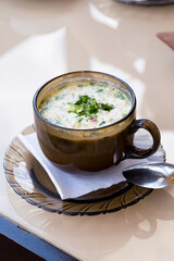 Summer yoghurt cold soup with radish, cucumber, and dill on woodwn table. Okroshka Russian traditional dish