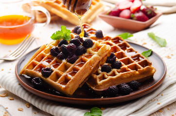 Homemade crispy Belgian waffles served with blackberries and honey