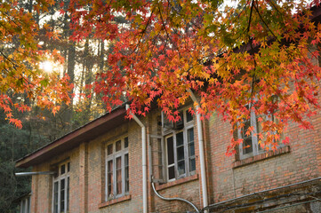 Beautiful Mountain Lu geopark landscapes in late autumn, Jiujiang, Jiangxi, China
