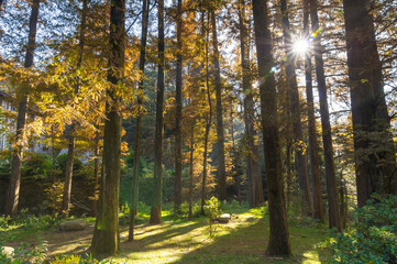 Fototapeta premium Beautiful Mountain Lu geopark landscapes in late autumn, Jiujiang, Jiangxi, China