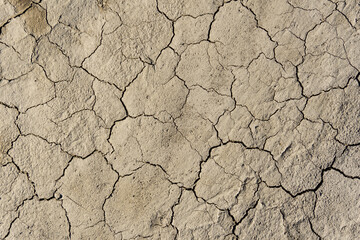 Texture of dry cracked earth close-up. Small cracks. Beige earth. Background