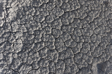 Small cracked dry earth closeup. Gray background. Texture of the earth.