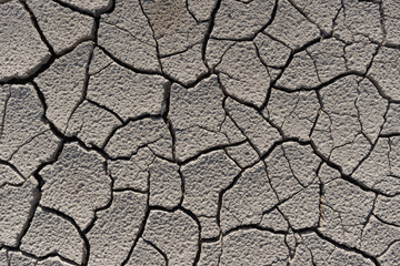 Cracked dry earth.Cracked soil during drought in summer. Gray background.
