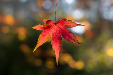 Beautiful Mountain Lu geopark landscapes in late autumn, Jiujiang, Jiangxi, China