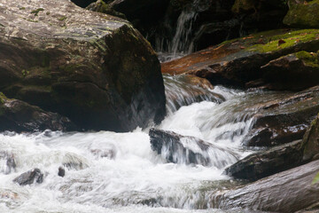 Cascading stream in nature