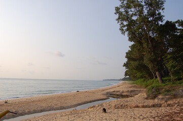マレーシアのデサルビーチの朝景と海岸線の熱帯林