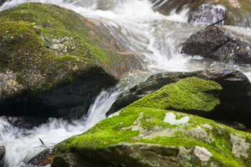 Naklejka na ściany i meble Cascading stream in nature