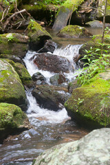 Naklejka na ściany i meble Cascading stream in nature