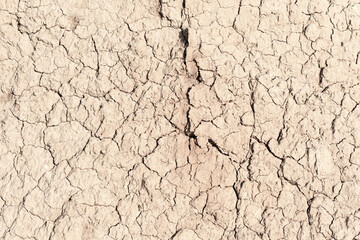texture of dried cracked surface layer of the earth