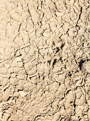texture of dried cracked surface layer of the earth