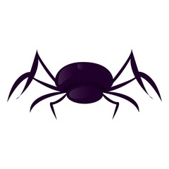Spider vector isolated insect horror scary web animal fear danger spooky arachnid illustration.