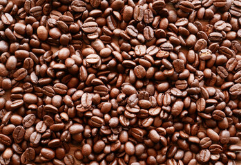 coffee bean for background, organic coffee seed
