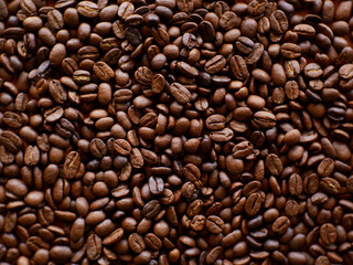 coffee bean for background, organic coffee seed