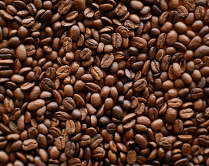 coffee bean for background, organic coffee seed