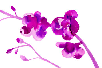 Fototapeta na wymiar Purple orchid. Minimal ink print