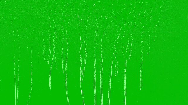 Close-Up. Realistic rain and water droplets with chroma key green screen background. Animation 