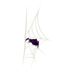 Spider vector isolated insect horror scary web animal fear danger spooky arachnid illustration.