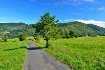 Fototapeta na wymiar Mountains summer landscape. Dirt road through the green fields and forest on a blue sky.