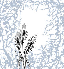 A Bible parable. The grain fell into the thorns. Vector drawing