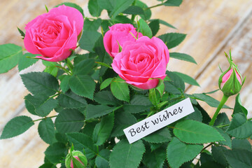 Best wishes card with pink wild roses
