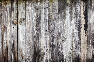 Authentic background of wooden surface as background