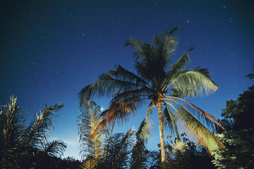 Milky Way stars photographed with long exposure and wide angle lens. My astronomy work.
