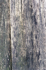 Authentic background of wooden surface as background