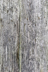 Authentic background of wooden surface as background