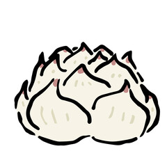 Illustration of Lily root: Illustration like hand drawn illustration with ink and brush