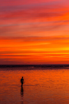 Person silhouetted walking in the water at sunset