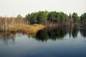 Meshchera, Okskiy reserve. Spring flood of the Pra river. Ryazan region.