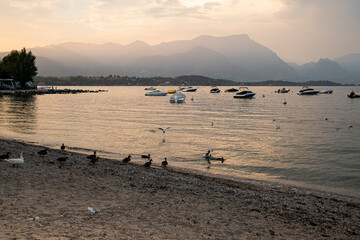 Lake view at pink sunset with ducks and boats from Manerba del Garda, Garda lake, Lombardia, Italy.
