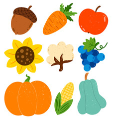 Flat vector autumn harvest illustration set. Pumpkin, zucchini, cotton, acorn, carrot, apple, sunflower, grapes, corn isolated on white background.