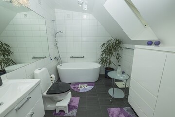 Beautiful view of the interior of the bathroom in the house. Roof window with large mirror, toilet and bathtub with shower.