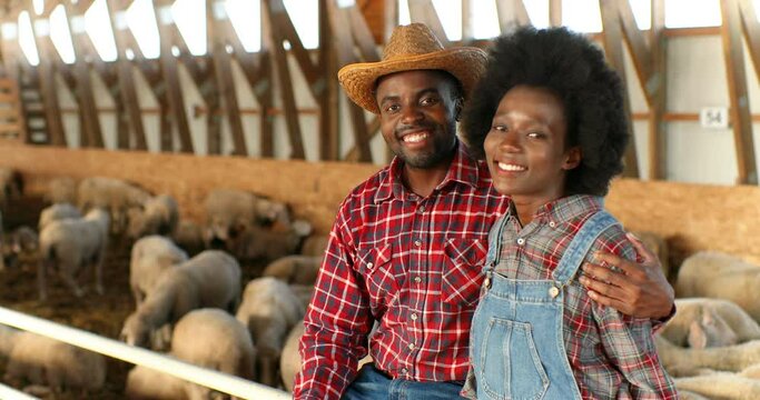 Portrait of happy young African American couple of farmers hugging and smiling to camera, sitting in stable for livestock. Handsome man and beautiful woman embracing at sheep farm. Farming concept.
