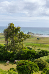 Beautiful landscape of coast line in Isla Mocha, at Lebu, Biobío Region in Chile.