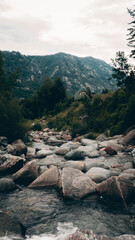 Torrente 2