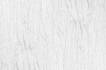 White wooden plank texture background. soft wood surface for decor or backdrop