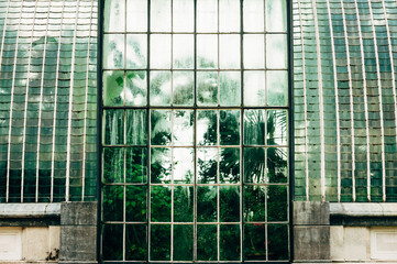 Obraz premium old greenhouse door