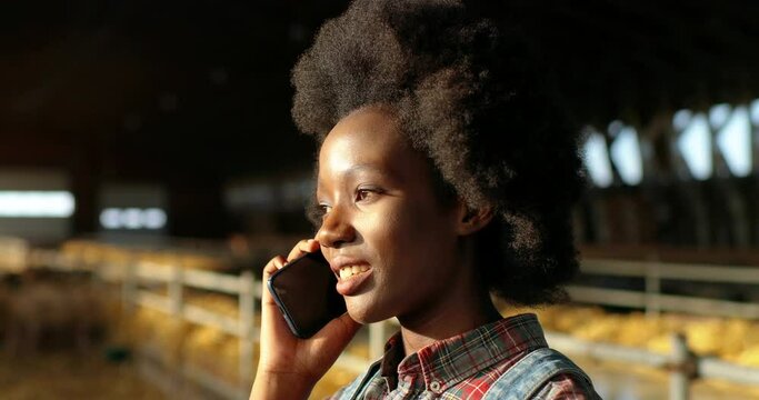 Young African American woman talking on cellphone and working in farm stable. Female farmer speaking on mobile phone in shed. Shepherd having call and conversation on telephone. Farming concept.