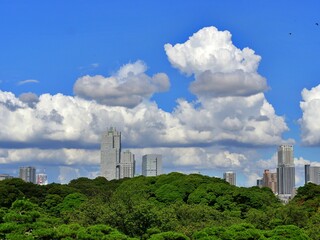 Fototapeta na wymiar 都会の入道雲