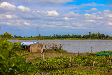 summer landscape with river and blue sky